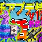 【 フォートナイト】最新アプデ情報ｖ12.10！ラマ復活！！！ヘビショ＆スコープ付きアサルト新武器追加されまくり！【ななか】