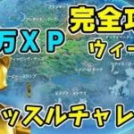 フォートナイト ニャッスルチャレンジ2週目ウィーク6完全攻略！スチーム ジップライン 秘密の通路　Fortnite　シソッパ