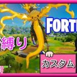 【04/06生放送切り抜き】街縛り ソロ デュオ カスタムマッチ【フォートナイト Fortnite PC Switch PS4】