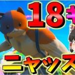 【フォートナイト】ニャッスル覚醒！？１８キルビクロイで自己新記録更新！　その400【ゆっくり実況】【Fortnite】