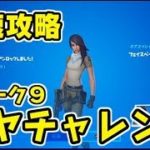 フォートナイト マヤチャレンジウィーク9最速攻略！フェイスペイント入手！Fortnite　シソッパ