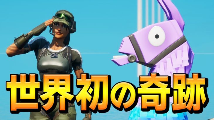 私、ネフライトは〇〇を辞めてギネス級の記録を達成しました。【フォートナイト/Fortnite】