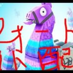 アリーナソロ練習します。「フォートナイト」ps4配信