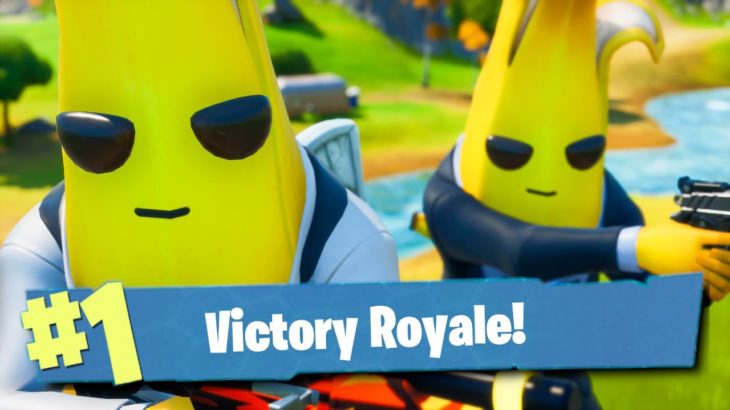 フォートナイト バナナスキンでビクロイ目指したら奇跡が起きる Fortnite フォートナイト動画まとめ