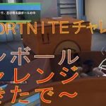 [Fortnite フォートナイト]トレの攻略動画 スカイの冒険　コメントでできないって書いてあったので試してみた！