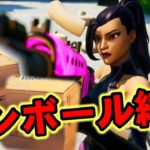 【フォートナイト】ダンボール縛りで隠れて最後の敵にドッキリしかける！【Fortnite】