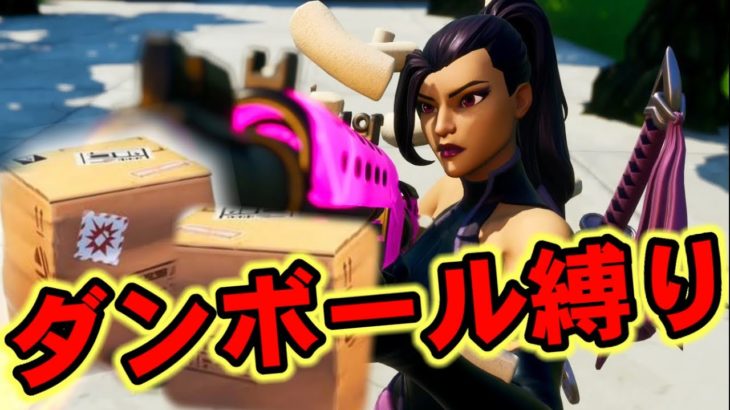 【フォートナイト】ダンボール縛りで隠れて最後の敵にドッキリしかける！【Fortnite】