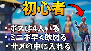 初心者に”10個のウソ”をついてみたｗｗ【フォートナイト/Fortnite】