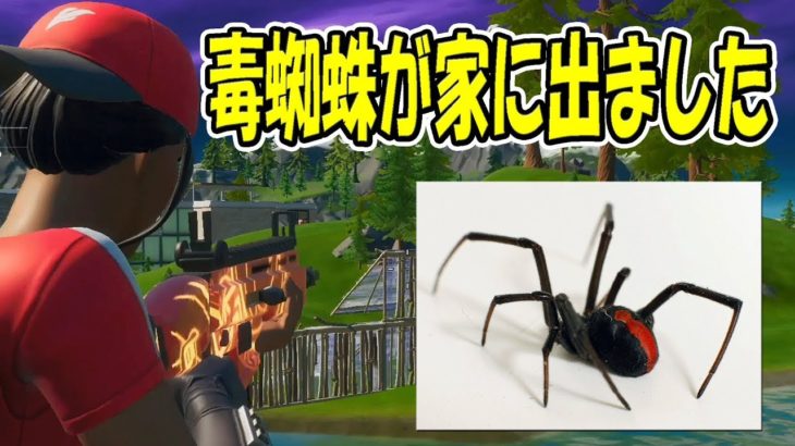 【フォートナイト】毒蜘蛛みたいなヤバい生き物が家に現れた！！