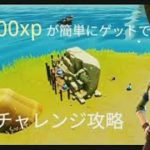 25000xpが簡単にゲットできる隠しチャレンジ攻略(フォートナイト)