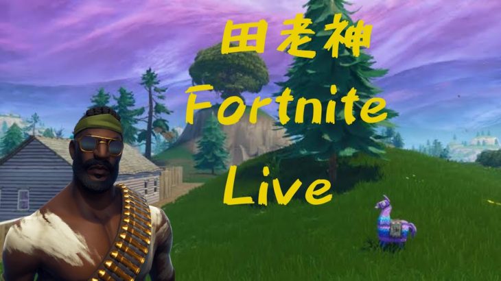 【Fortnite】騒がしい大人のフォートナイト　デュオ　Rinda