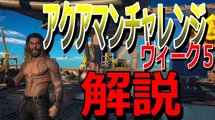 【フォートナイト】アクアマンチャレンジウィーク５攻略・解説　別スタイルの取り方も！！