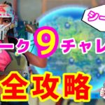 【フォートナイト】ウィーク９チャレンジ完全攻略【シーズン3】