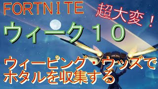 [Fortnite フォートナイト]トレの攻略動画  ウィーク10　チャレンジ　ウィーピング・ウッズでホタルを収集する