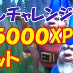 隠しチャレンジ ノームトークとイベントオブザイヤー攻略 レベル上げに最適な45000XPもらえる超お得チャレンジです 一度で終わるコース紹介 【フォートナイト / FORTNITE】