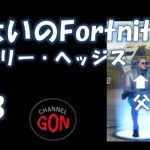 7さいのFortnite！　＃3　ホーリー・ヘッジズ攻略！劇的勝利！【フォートナイト・ビクロイ・キル・スクワッド・小2】（ヒカキン，ネフライト，ネコくん大好き小学2年生）