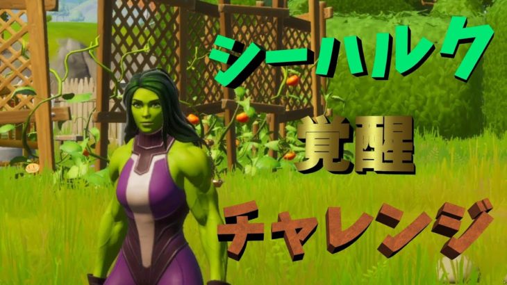 シーハルクの覚醒チャレンジ攻略!!!!!!【フォートナイト/Fortnite】