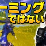 アリーナソロで”視聴者と”ビクロイ!? ゼラールが達成した意外な方法とは…【フォートナイト/Fortnite】