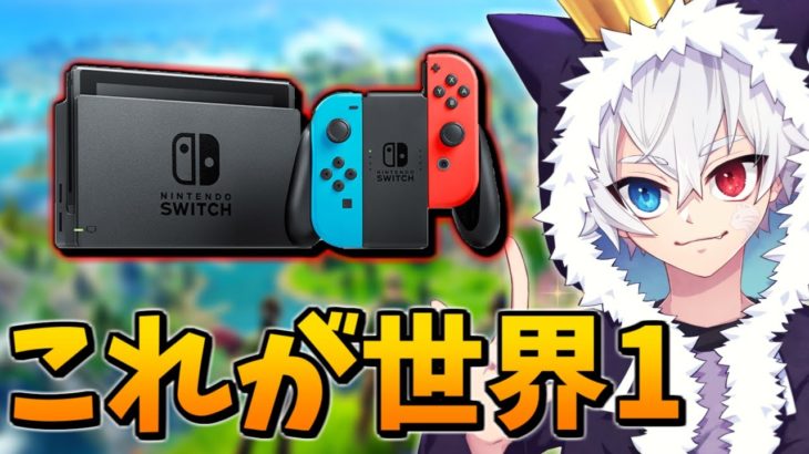 【速報】ねこくんがSwitch勢に…【フォートナイト/Fortnite】