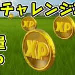 フォートナイト 隠しチャレンジ完全攻略！XP60000を簡単に稼ぐ方法！経験値レベル上げ　Fortnite　シソッパ