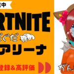 🐾フォートナイト【雑談】ソロアリーナちょこっと✨in沖縄🌺