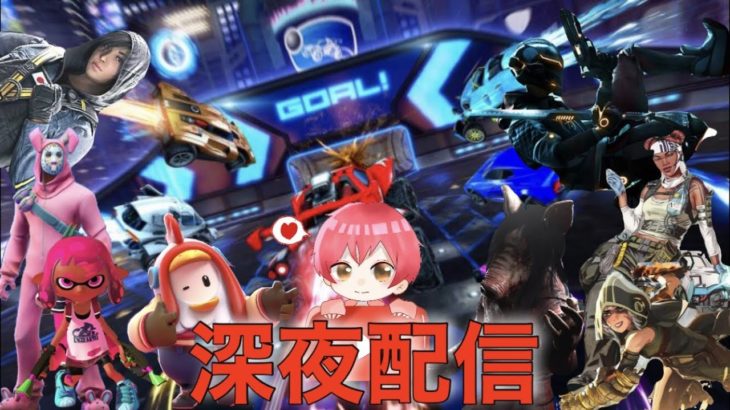 （フォートナイト）1週間スキン縛りをかけたソロ雑談配信、、、！！！　寝れない暇人は見に来い！！　アプデ後のフォートナイトも確認していくよん♪　＃フォートナイト