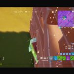 ゴールデンコンビ「フォートナイト/fortnite」（11）