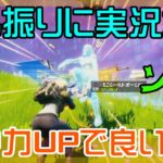 【Fortnite】久し振りに実況なしでゲーム攻略に集中してみたらついもより上手くできた気がしたソロ動画/バトルロイヤル/Battle Royale/ソロ/Solo/PS4【フォートナイト】