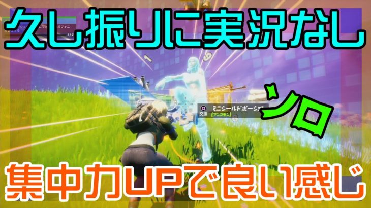 【Fortnite】久し振りに実況なしでゲーム攻略に集中してみたらついもより上手くできた気がしたソロ動画/バトルロイヤル/Battle Royale/ソロ/Solo/PS4【フォートナイト】