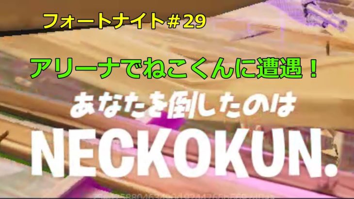 【フォートナイト】アリーナソロでねこくんに会いました！