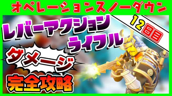 狙い撃ち！！オペレーションスノーダウン12日目クエスト完全攻略！レバーアクションライフルでダメージを与える！【フォートナイト/fortnite】