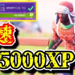 【爆速レベル上げ】パンチカード攻略で375000XPを効率良くゲットする方法「ぴかぴかリンゴ」「フォートナイト」「シーズン5」