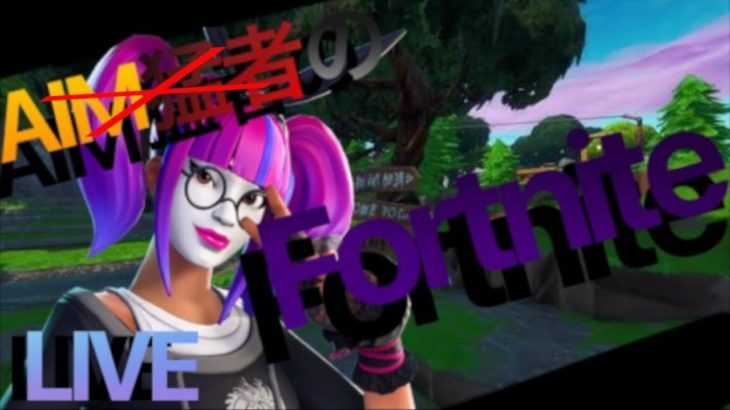 【フォートナイト/FORTNIT】微時間デュオ