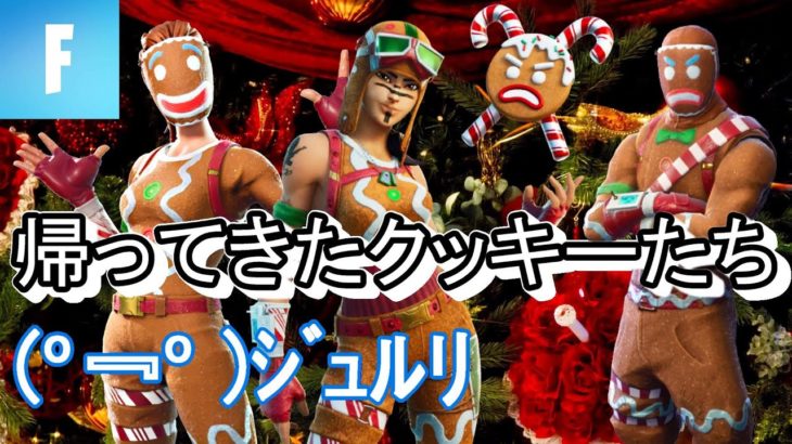 【フォートナイト】ジンジャーブレッドレイダー、キラージンジャー、ジンジャーガンナーで行くソロ！【概要欄を読んでね！】