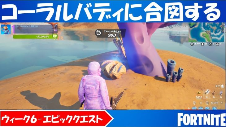 コーラルバディに合図する！シーズン５ウィーク６チャレンジ攻略！【フォートナイト/FORTNITE】