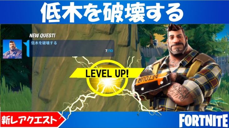 隠しレアクエスト 低木を破壊する 攻略方法 チャプター２シーズン５ Fortnite フォートナイト フォートナイト動画まとめ