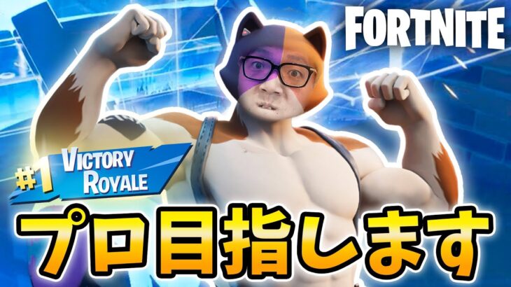 ヒカキン氏、初の正統派ビクロイ!? プロの道へ…(自称)【フォートナイト】【FORTNITE】