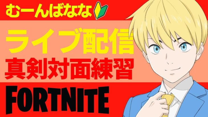 真剣対面練習ソロ！ボタン配置、感度は概要欄【フォートナイト/Fortnite】