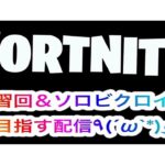 アリーナをぶんまわす(ソロやるけどやりたい人は言ってください)【フォートナイト生配信】