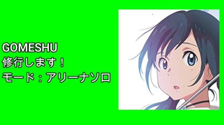 【フォートナイト】ソロアリーナ　調子がいいからポイント上げる！