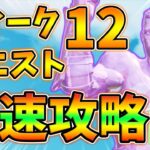 ウィーク12チャレンジクエスト先行攻略,シーニックスポット,ゴージャスゴージ,マウントケイ,家族のポートレート【レベル上げ】【シーズン5】【フォートナイト】