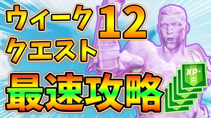 ウィーク12チャレンジクエスト先行攻略,シーニックスポット,ゴージャスゴージ,マウントケイ,家族のポートレート【レベル上げ】【シーズン5】【フォートナイト】