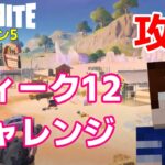 【フォートナイトシーズン５】#53　ウィーク12チャレンジ攻略！【ダイのゲームワールド】【初心者フォートナイト】