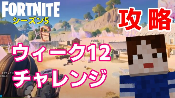 【フォートナイトシーズン５】#53　ウィーク12チャレンジ攻略！【ダイのゲームワールド】【初心者フォートナイト】