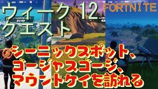 [Fortnite フォートナイト]トレの攻略動画  シーズン5　ウィーク12　クエスト　シーニックスポット、ゴージャスゴージ、マウントケイをそれぞれ訪れる