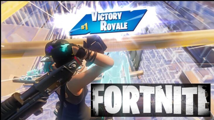 Fortnite Highlights KILLCLIP DUO (Fortnite Chapter 2 Season5 Ps4 Controller)フォートナイト　キル集　友人とデュオでビクロイ