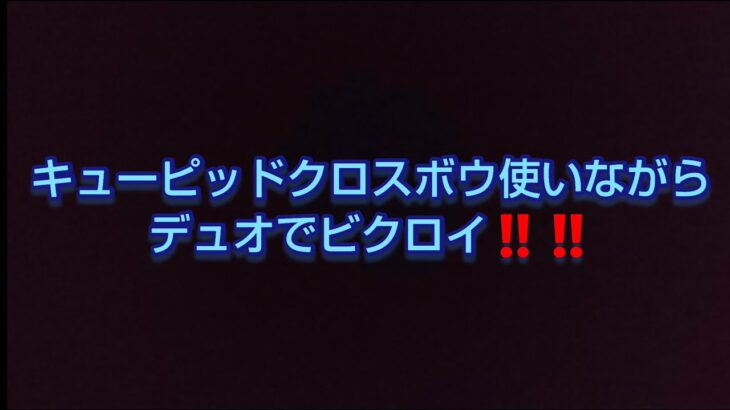 キューピッドクロスボウ使いながらデュオでビクロイ‼️【フォートナイト/フォートナイト】【スイッチ】【初心者】【新武器】