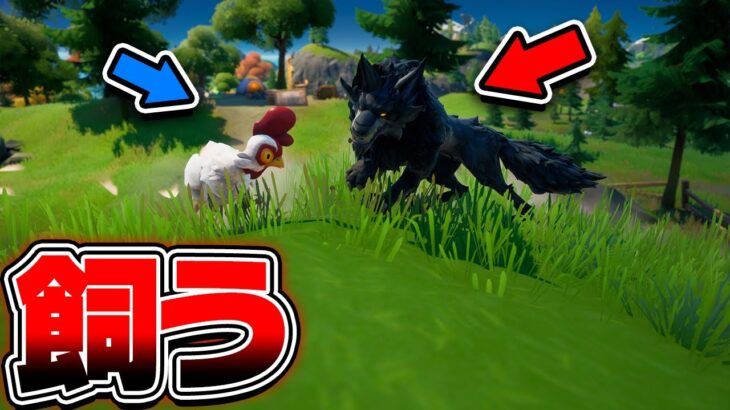 【完全解説】動物たちを飼う方法【フォートナイト】【シーズン6】