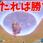 【兄弟】シーズン最後の大会に挑む。【フォートナイト/Fortnite】