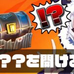 秘密の宝箱チャレンジで奇跡が起こる…!?【フォートナイト/Fortnite】